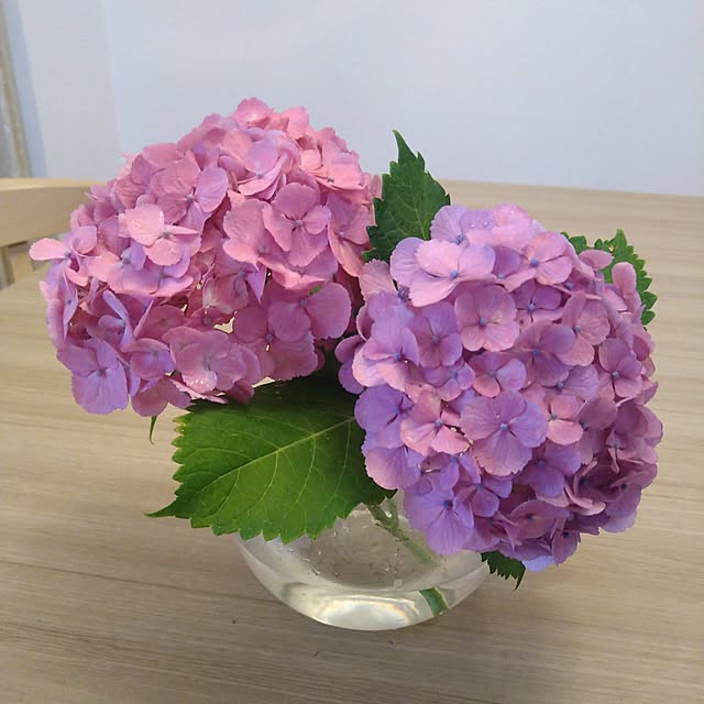 TSMKさんの実例写真