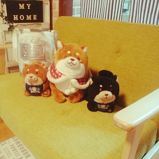 mochisiba-okakaさんの実例写真