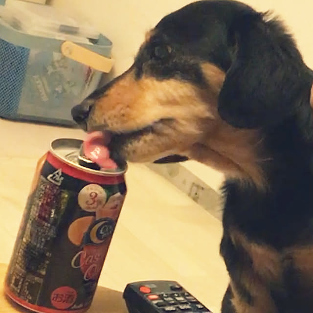 ohanaさんの実例写真