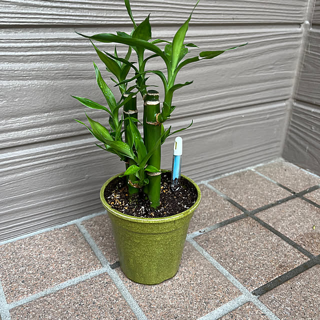 mogumoguさんの部屋