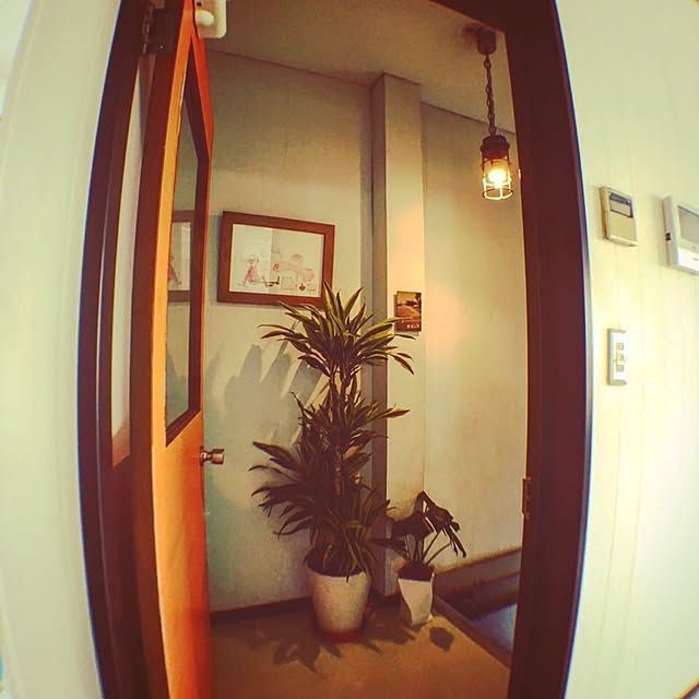 toshigasさんの実例写真
