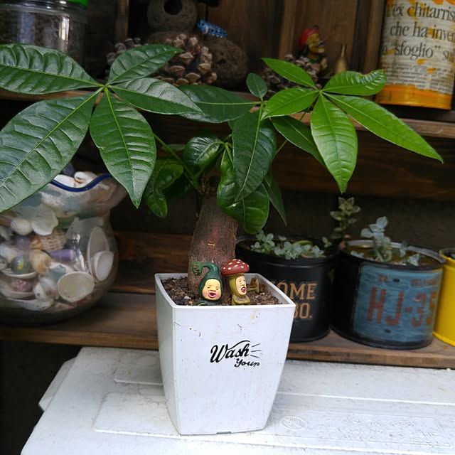 niko2pun2さんの実例写真