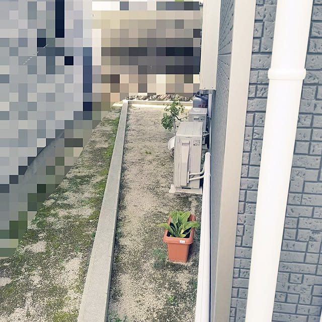 ichiさんの実例写真