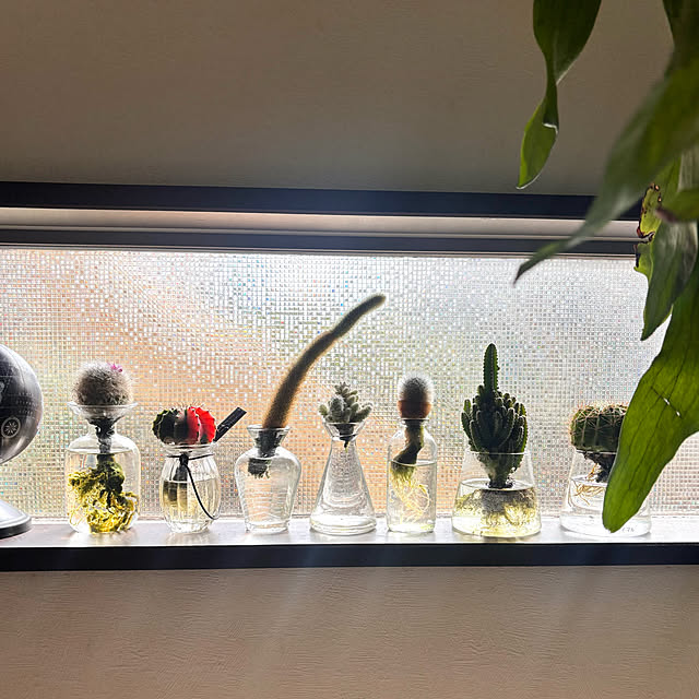 greycatsさんの実例写真