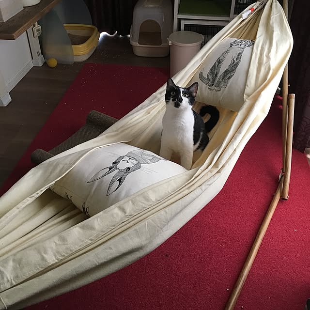 mikomaruさんの実例写真