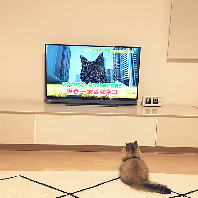 sachie.さんの実例写真