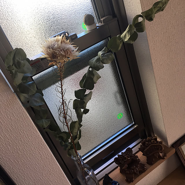 zoさんの実例写真