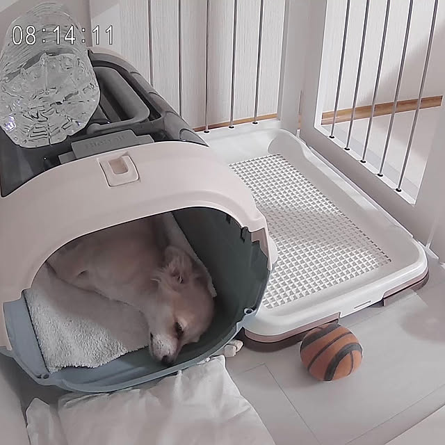Rainyさんの実例写真