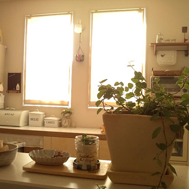kokkomachaさんの実例写真