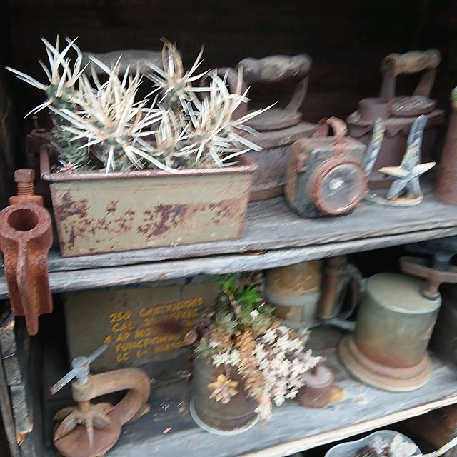 hononoさんの部屋