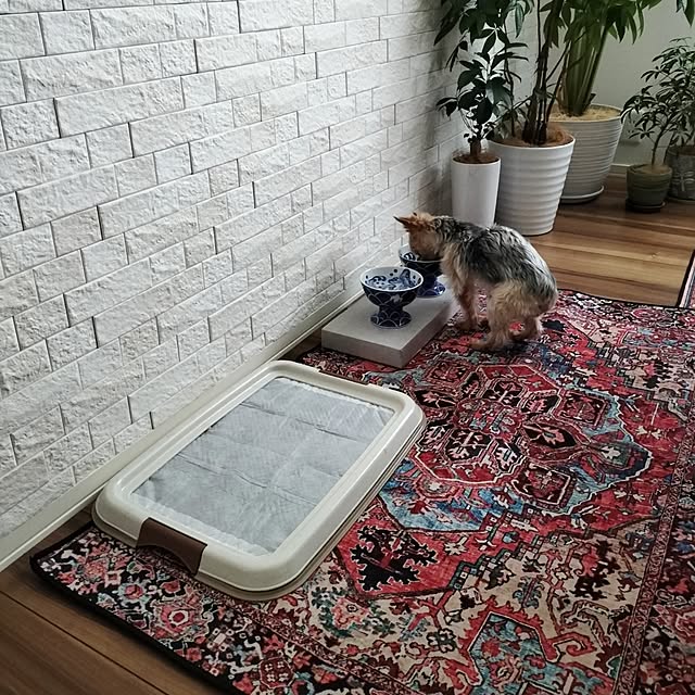 coco0.84.さんの部屋