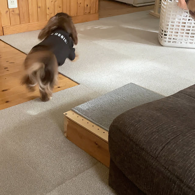 yupponさんの部屋