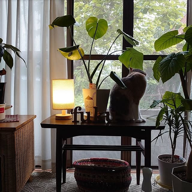fukuさんの部屋