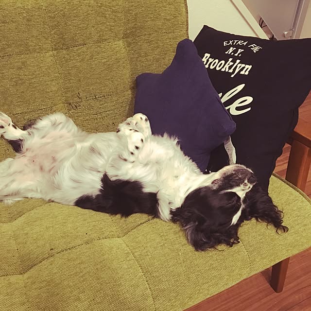 lunamamajunkoさんの実例写真