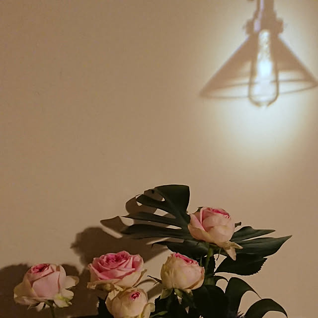 trulloさんの実例写真