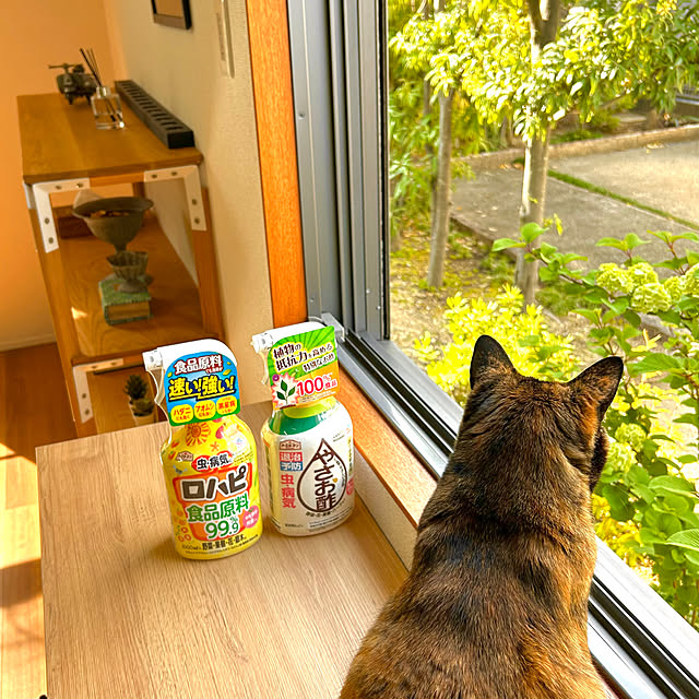 cocoさんの実例写真