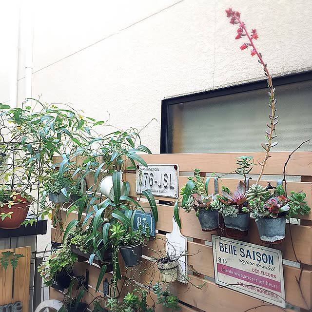 MAKIさんの実例写真