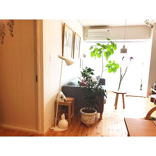 Hisayoさんの実例写真