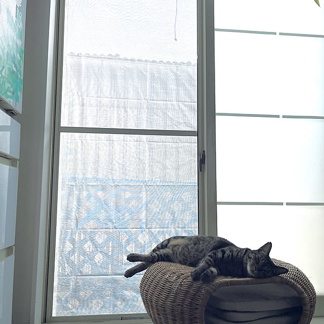 masamasaさんの部屋