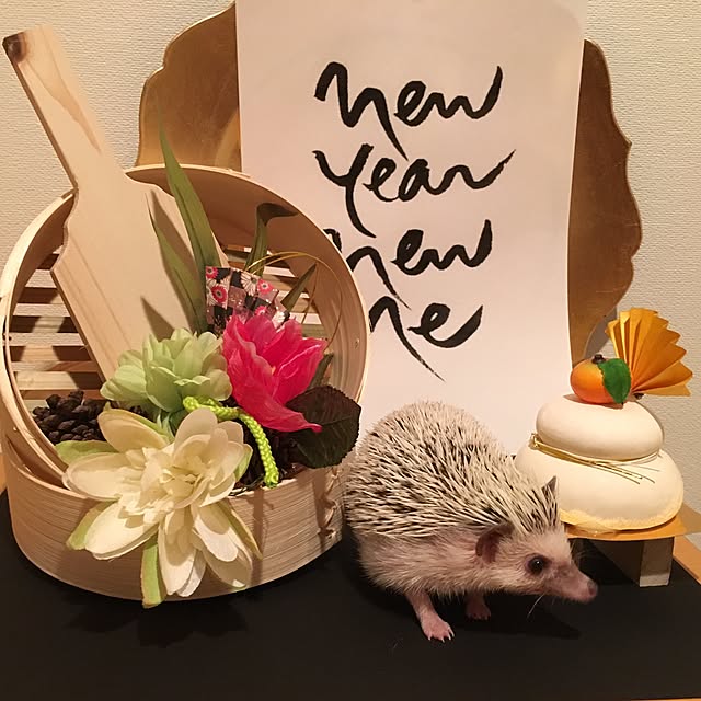 kameriさんの実例写真