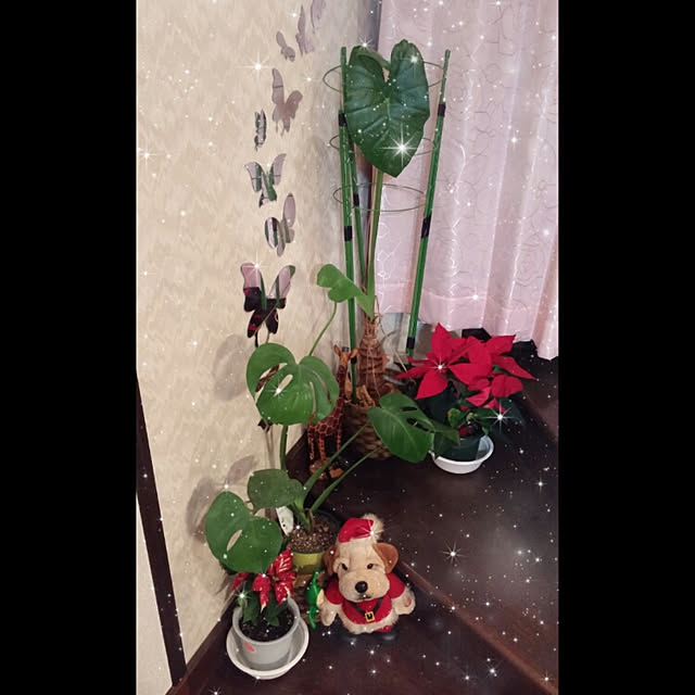 Tさんの実例写真