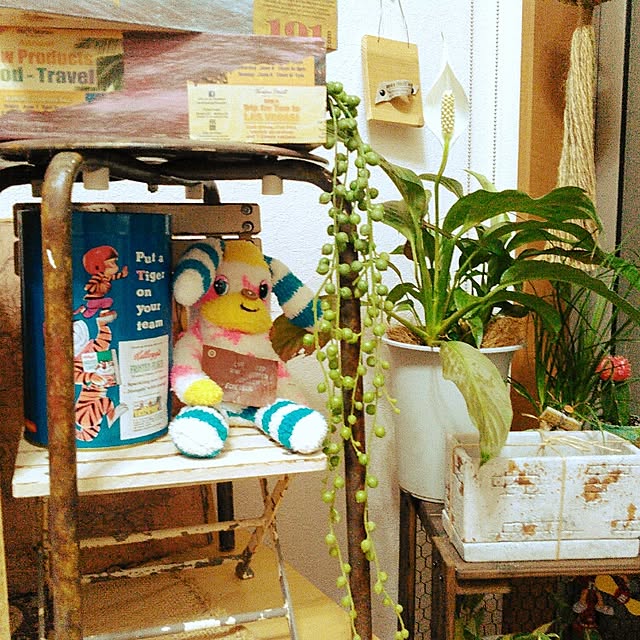 akr29さんの実例写真