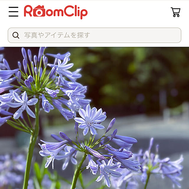 mizuyoさんの実例写真