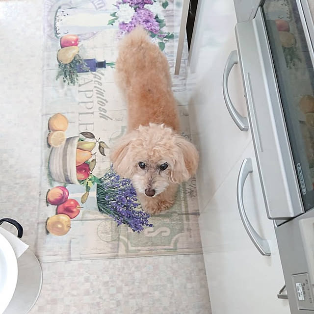 smileさんの実例写真