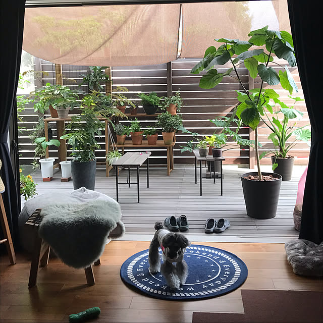 ken.ku128さんの実例写真