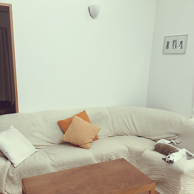white_camelliaさんの実例写真
