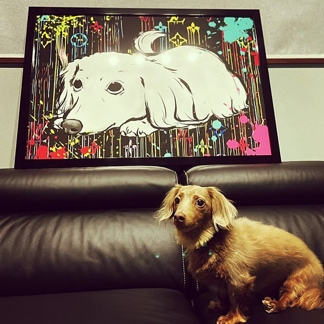 chasukeさんの実例写真