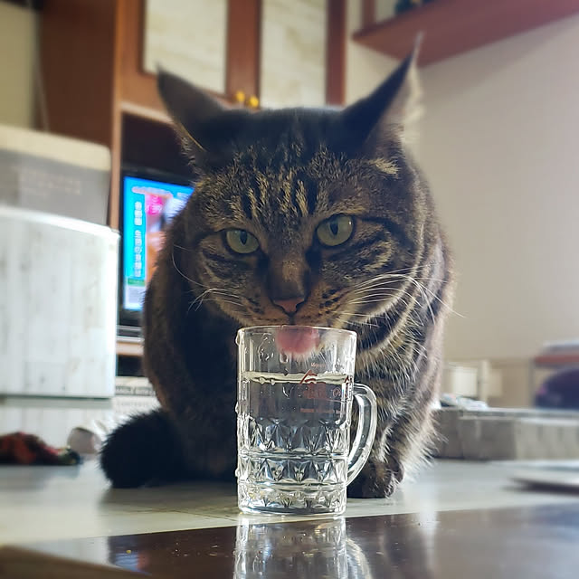 Mayumi8888さんの実例写真
