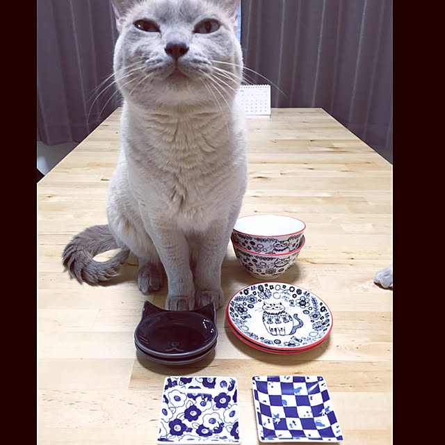 monkeymajimajikさんの実例写真