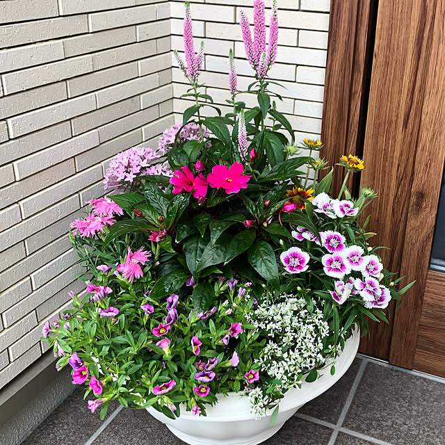 yururiさんの実例写真