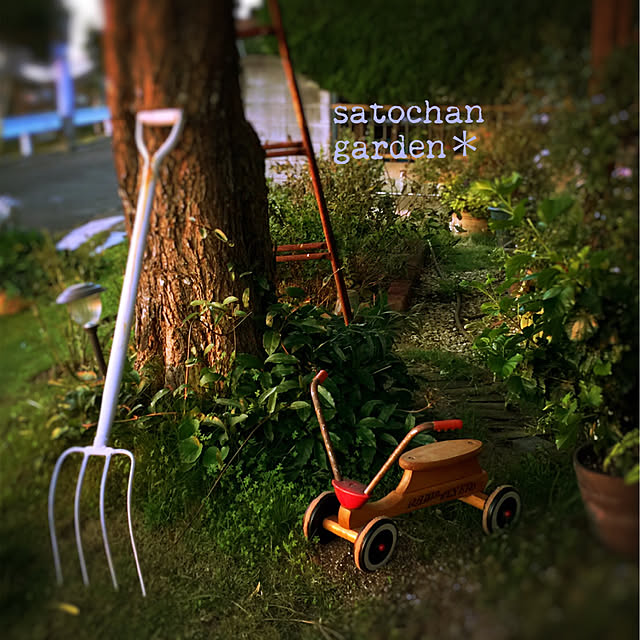satochanさんの実例写真