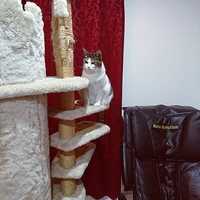 machikomamaさんの実例写真