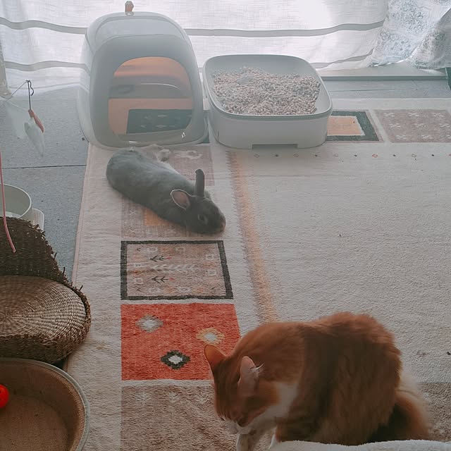 mori_6_12さんの部屋