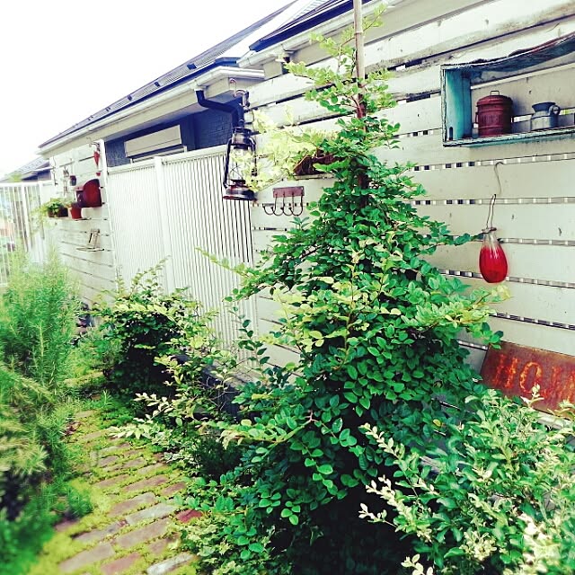 poyocoさんの実例写真