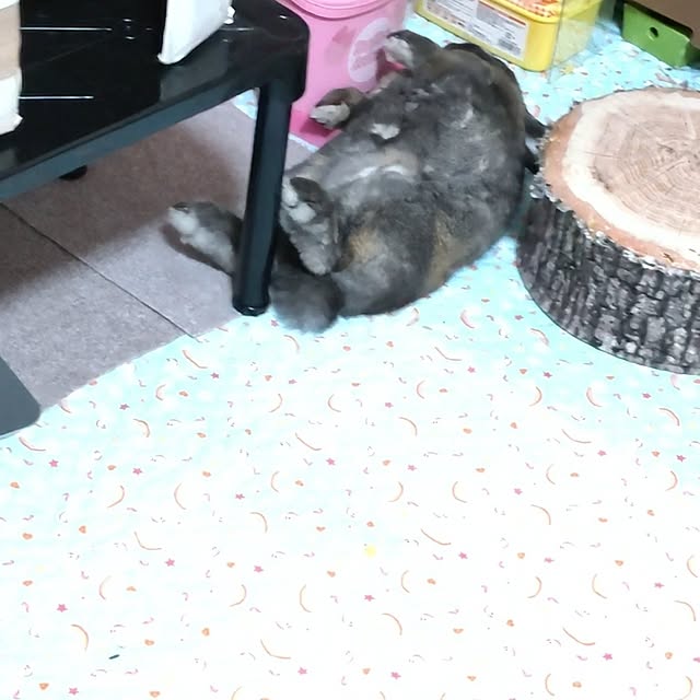 mariaさんの部屋