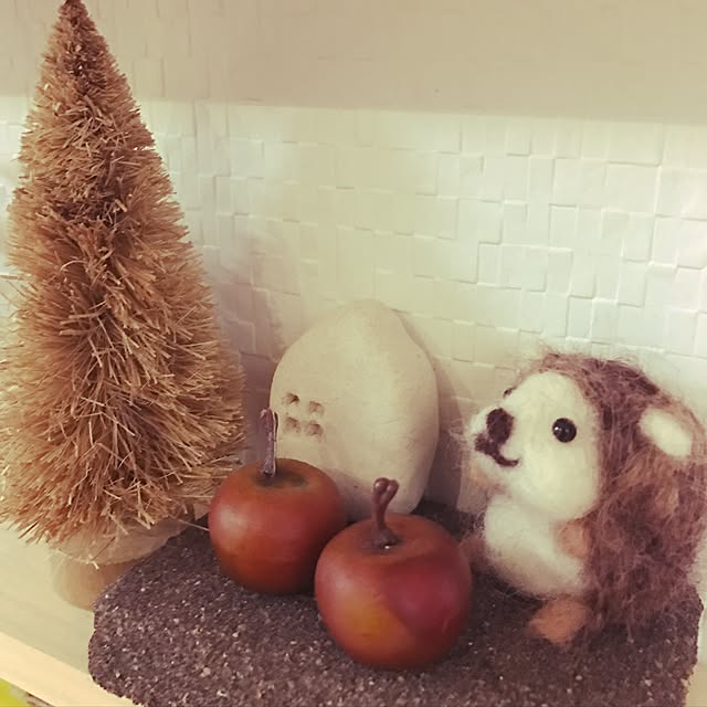 miemekkoさんの実例写真