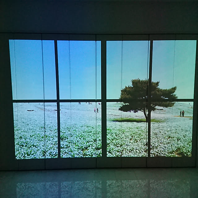momomoさんの実例写真
