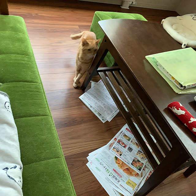 mikeume7さんの部屋
