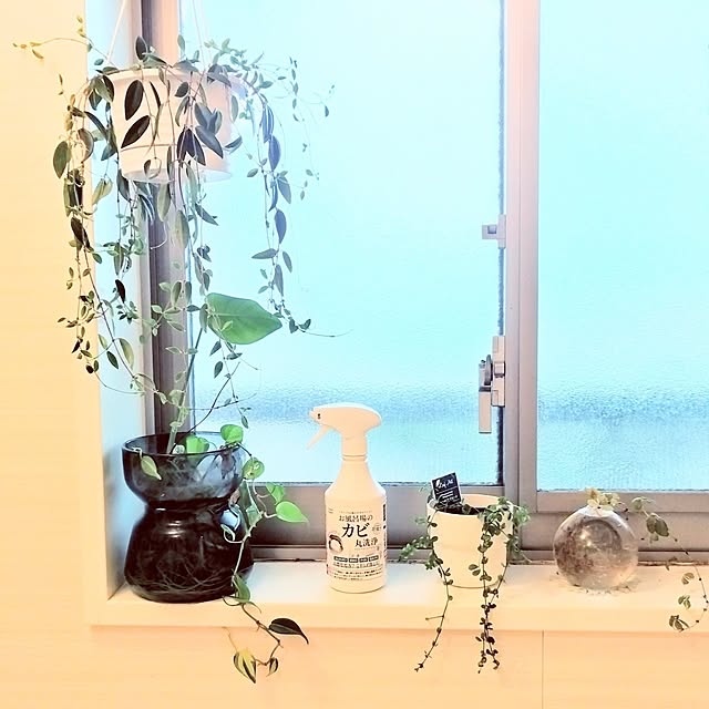 hiromimiさんの実例写真