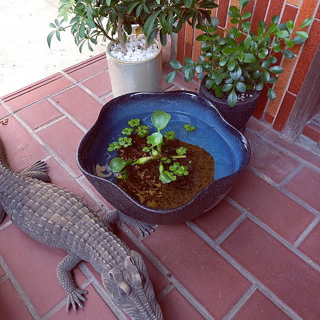 rhuさんの実例写真