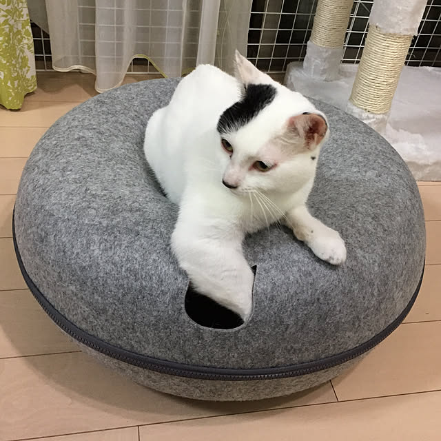 pansanさんの実例写真