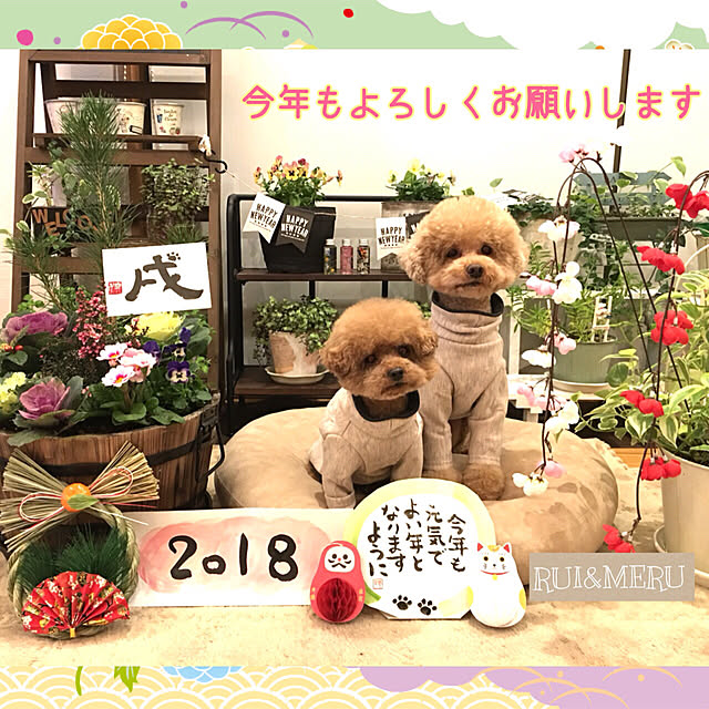 noririnさんの実例写真