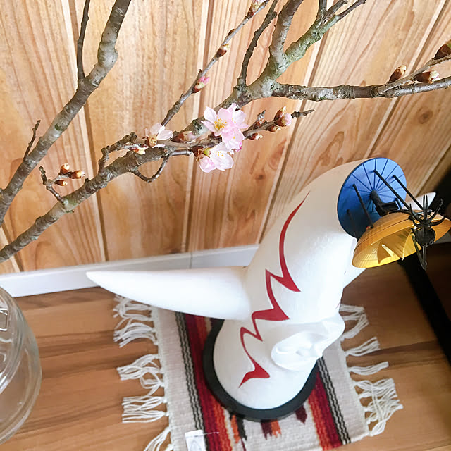 KIRINさんの実例写真
