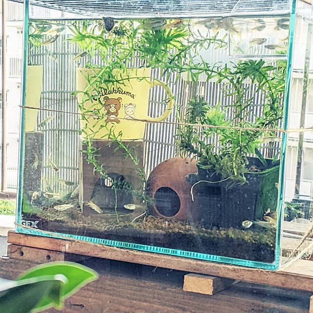 mi-saさんの部屋