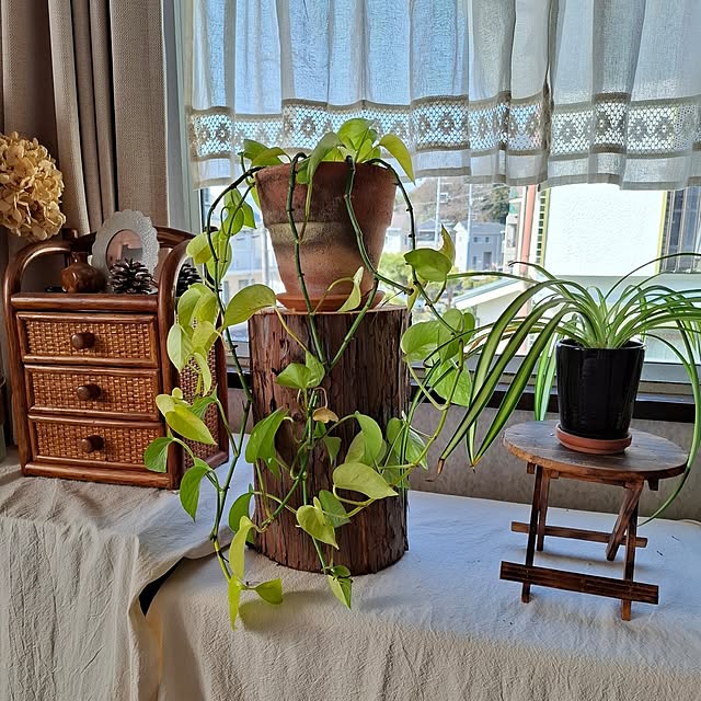 midoriさんの部屋