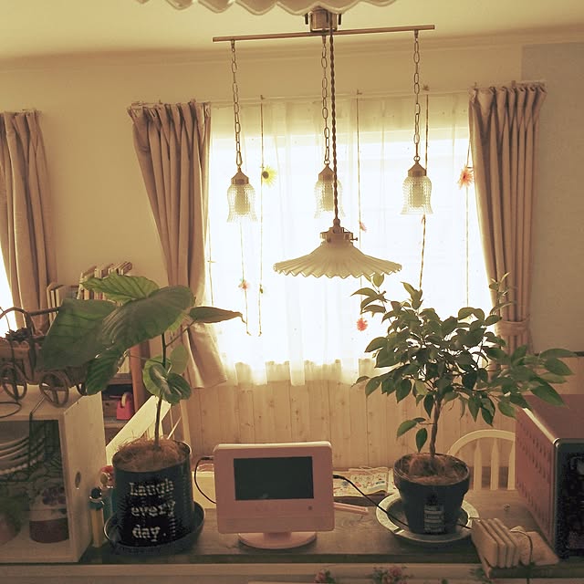 bambi_eyeさんの実例写真